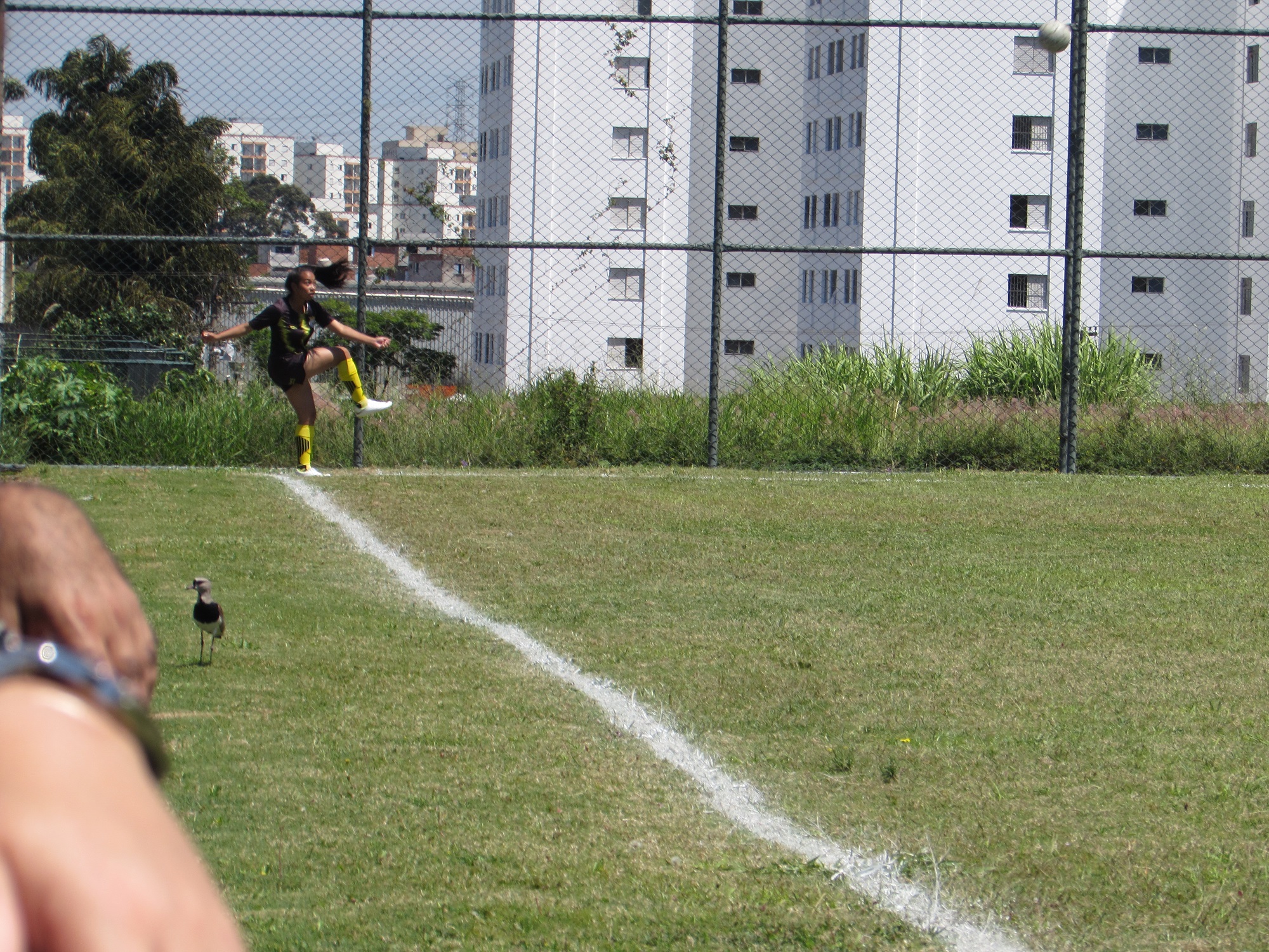 INTER_IPIRANGA_1_X_3_GINGA_REAL (11).jpg